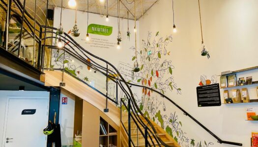 new tree cafe lyon 3 deco