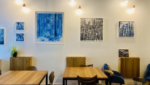 cafe le simone coworking à lyon 2