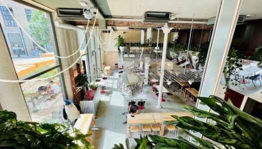 café pour travailler à lyon 1 le pilo a la croix rousse