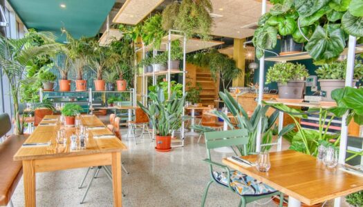 cafe wifi lyon 7 le botani ecrin de verdure avec vue sur tout lyon