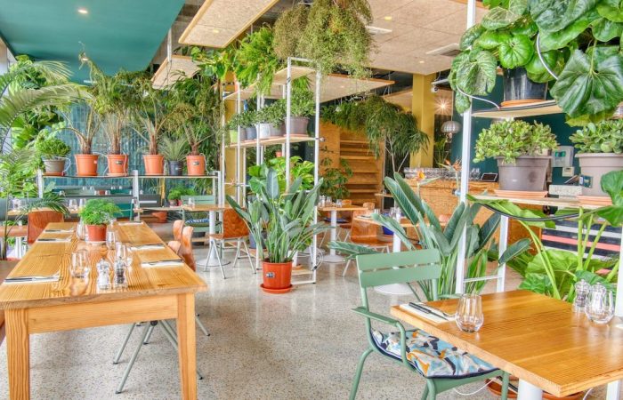 cafe wifi lyon 7 le botani ecrin de verdure avec vue sur tout lyon