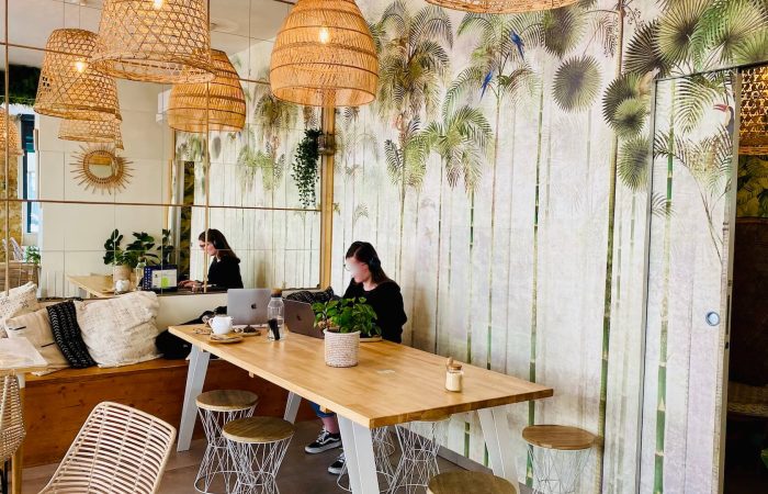 mowgli lyon 7 intérieur