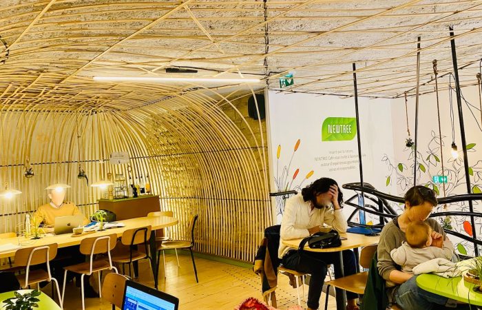 new tree cafe lyon 3 salle etage